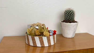 DIY Korkschale in Szene auf Tisch neben Kaktus vor weißer Wand